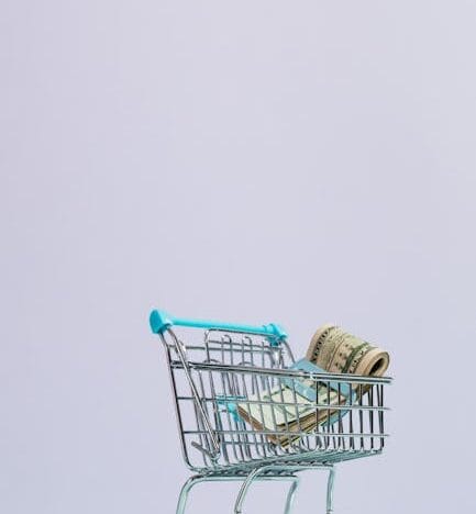 Minimalisme Radical : Guide Ultime pour une Vie Simplifiée