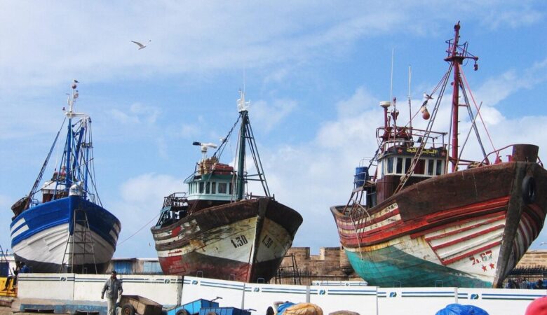 Digital Nomad Essaouira : Mon Expérience d'un Équilibre Parfait Entre Travail et Évasion