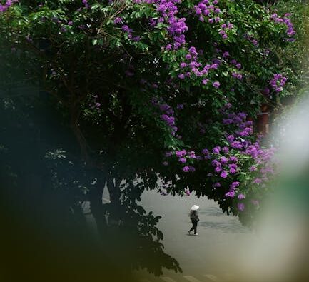 Digital Nomad Hanoi : Vivre l'Aventure Numérique au Cœur du Vietnam 🛵💻