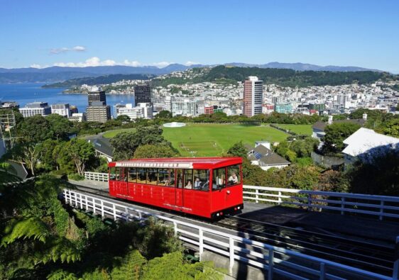 Digital Nomad Wellington : Mon guide ultime pour vivre l'expérience parfaite en Nouvelle-Zélande