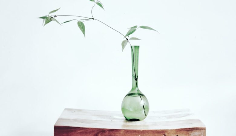 Minimalisme mode de vie : le guide ultime pour une existence simplifiée et épanouie 🌿